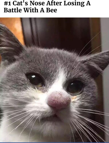 Screenshot_20201105-093731_Gallery