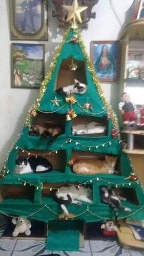 FB_IMG_1639324232852