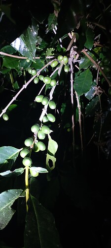 IMG_20221109_180330
