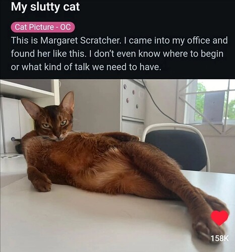 FB_IMG_1737889711037