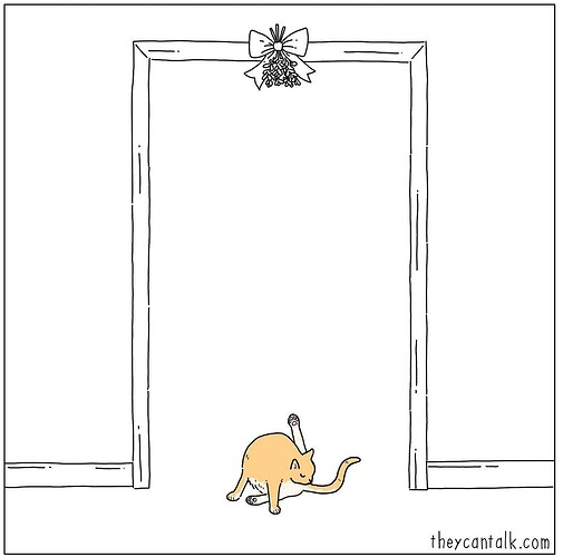 Screenshot_20211206-082131_Instagram