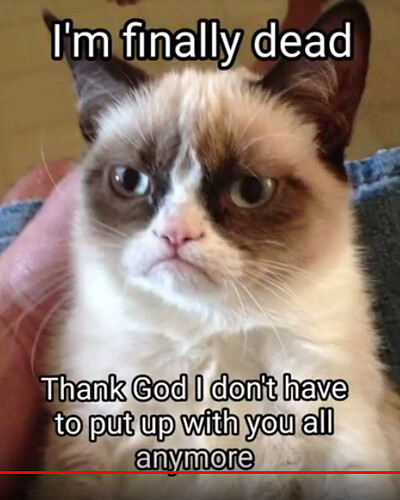 Grumpy%20Cat%20finally%20dead
