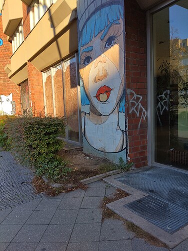 IMG_20231107_091412_HDR