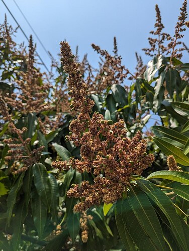 photo_2023-03-08_13-04-47