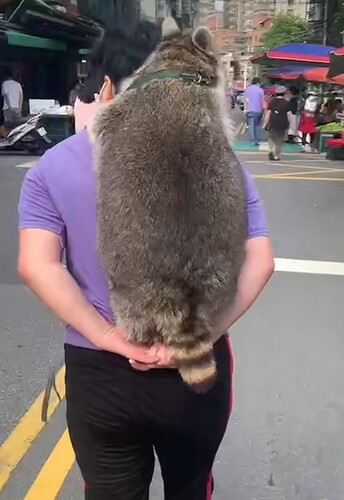 Screenshot_20211025-184227_TikTok