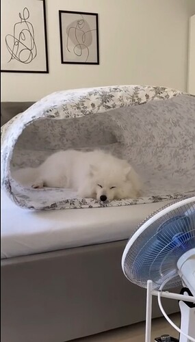 Screenshot_20210724-203811_Reddit