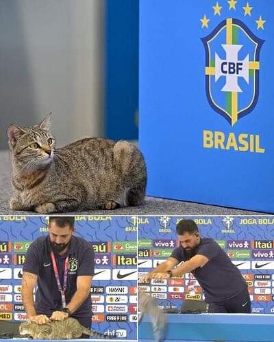 FB_IMG_1670678459264