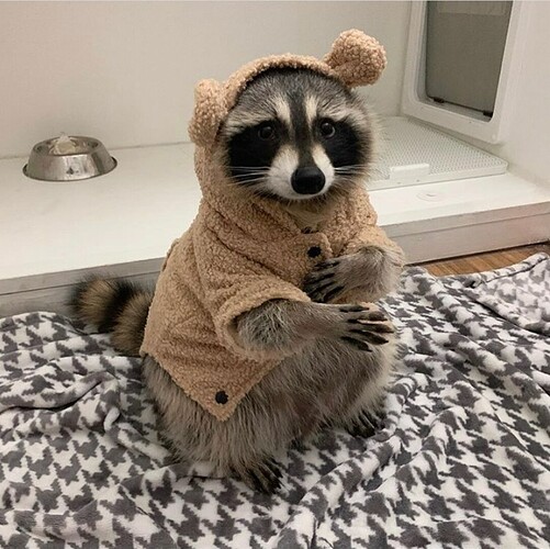 Screenshot_20201122-082335_Instagram