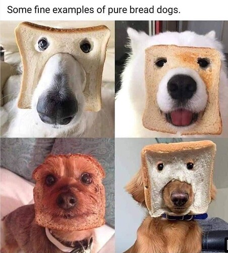 Pure Bread Dogs