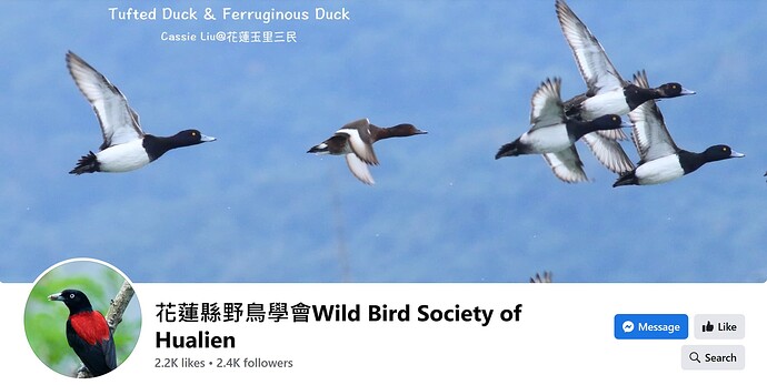Wild Bird Society of Hualien