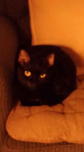 obd4b80e7d9ba4e6018c04efab2773d49_6146673_190905_0138