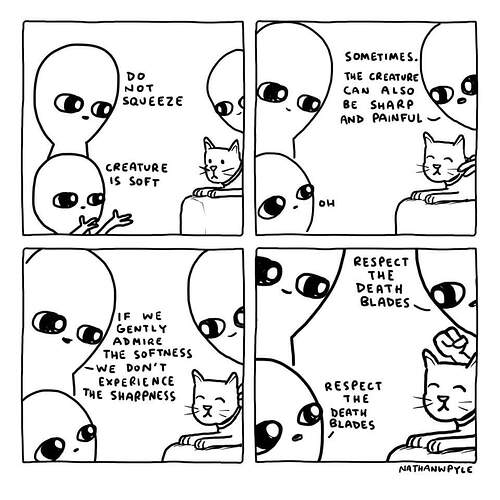 FB_IMG_1593965198094