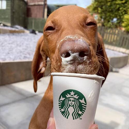 100679388_1454658518259984_3110654798844657664_n