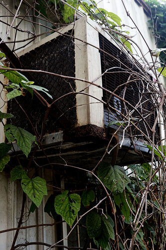 IMG_5489_DxO22hq