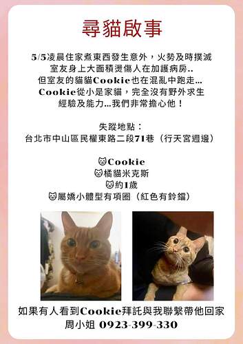 FB_IMG_1683346195960