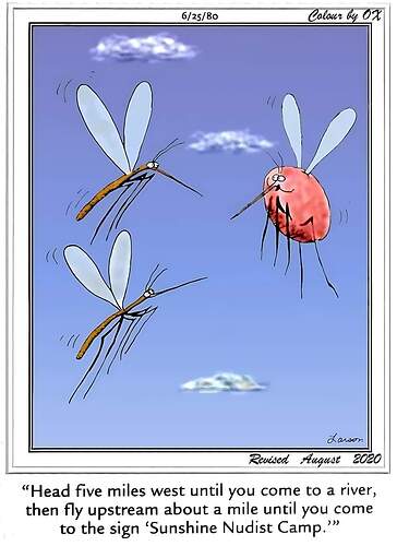 FB_IMG_1718134426916