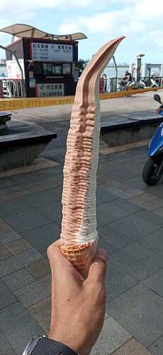 312952947_206909398401123_556323766204921394_n