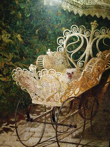 101672184_10158882707418623_4477631185652023296_n