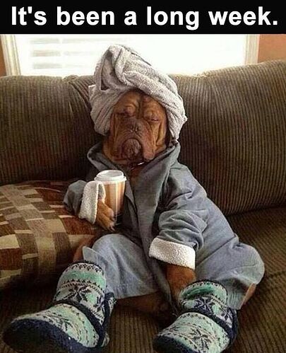dog long week 25-Funny-Friday-Memes-8-Friday-Memes