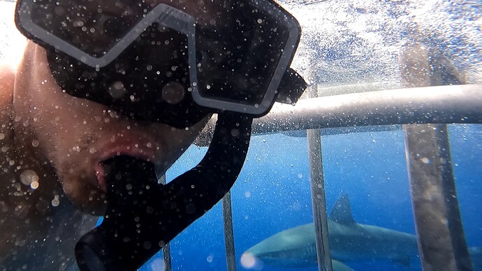 vlcsnap-2025-06-01-18h39m25s090