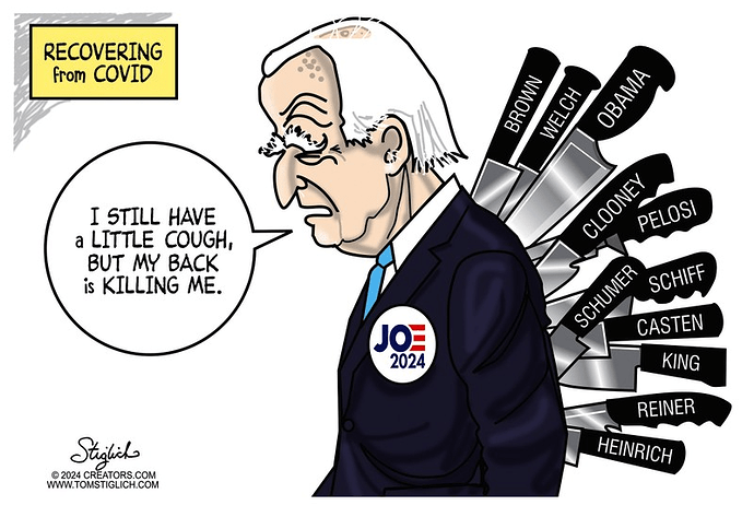 BIDEN RECOVERY