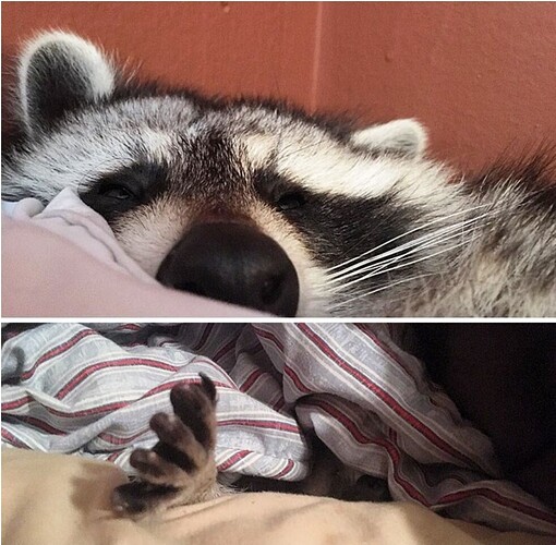 Screenshot_20201122-090131_Pinterest