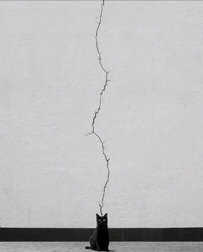 Screenshot_20230506_092128_Twitter