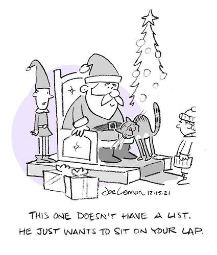 FB_IMG_1640177608643