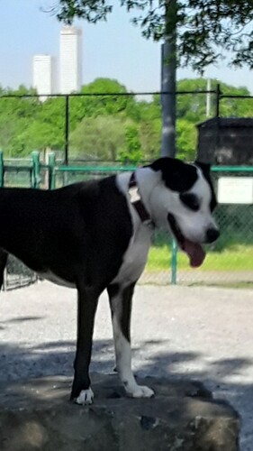 Screenshot_20200525-172324_Gallery