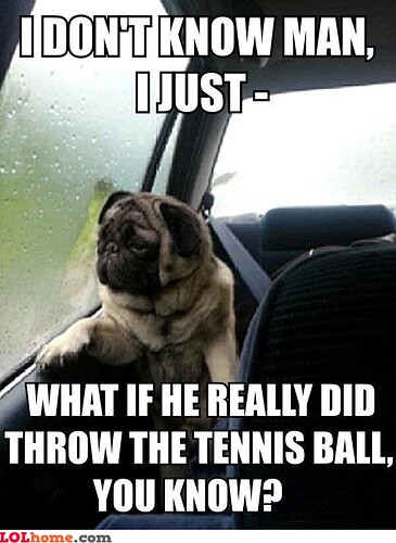 dog what if he really did throw the ball 685886442-c6fae__deep-thoughts