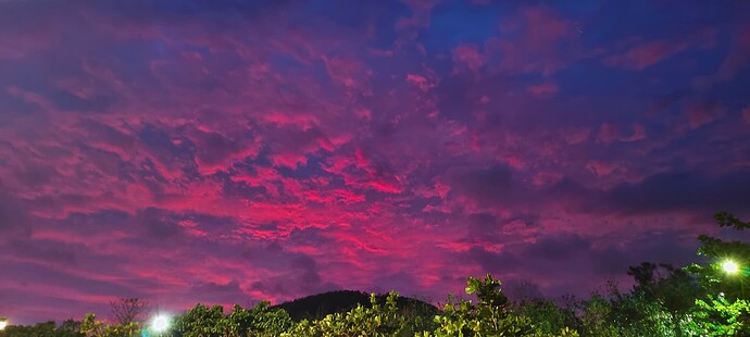 IMG_20241023_175304