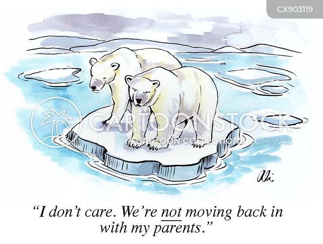 polar bear ice drift not moving back in with parents