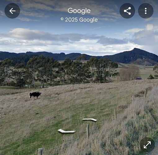Screenshot_20250408-210043_Maps (1)