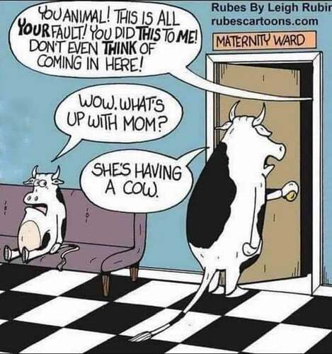 241755856_10158419092566886_7834080619400416169_n