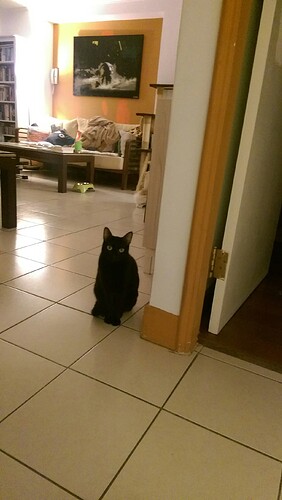 obd4b80e7d9ba4e6018c04efab2773d49_6146673_190905_0118