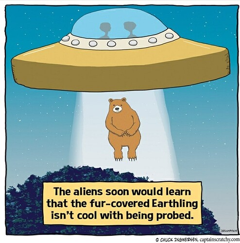 Screenshot_20201124-225820_Instagram