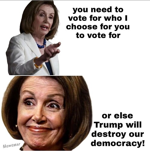 PELOSI VOTE