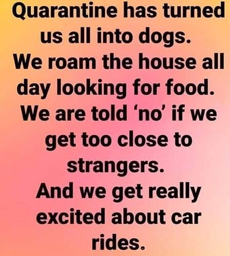 134588672_4022626484414716_4121774543620710137_n