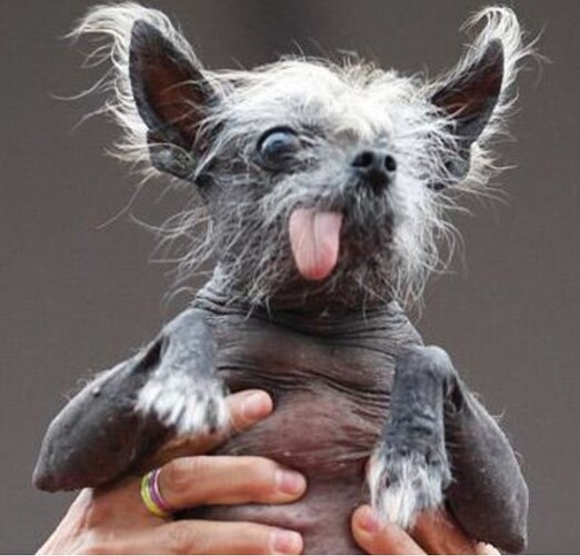 Screenshot_20200615-185703_Chrome