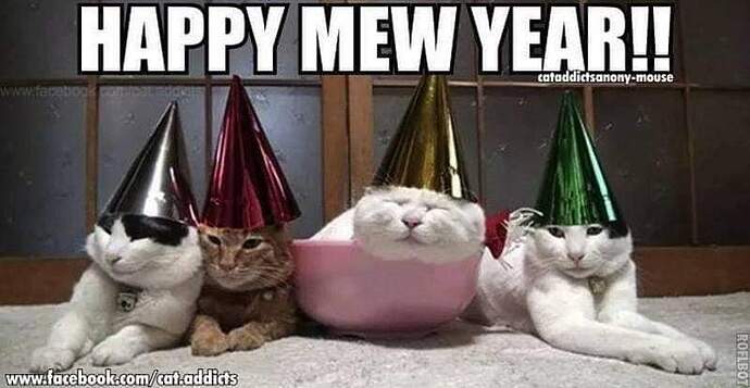 FB_IMG_1609514337356