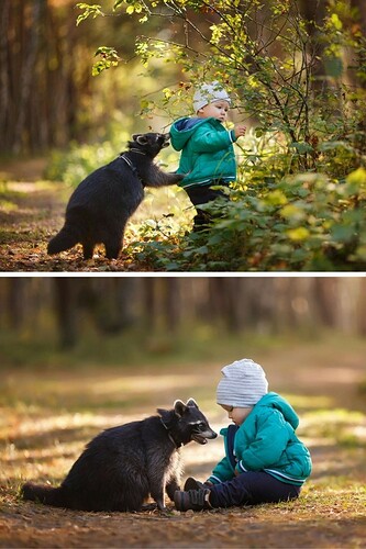 fd5140f686b59ccddd04531cac6ce7d4