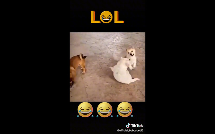 dog politicos electores 7