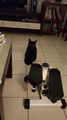 obd4b80e7d9ba4e6018c04efab2773d49_6146673_190905_0099