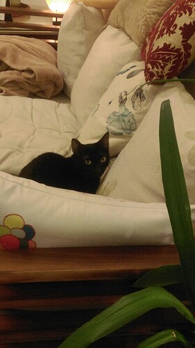 obd4b80e7d9ba4e6018c04efab2773d49_6146673_190905_0007