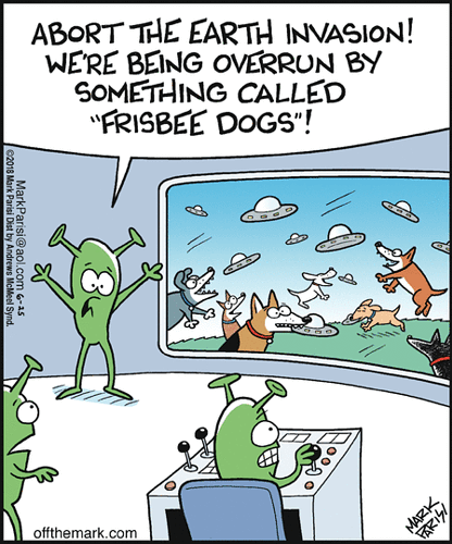 alien frisbee dogs