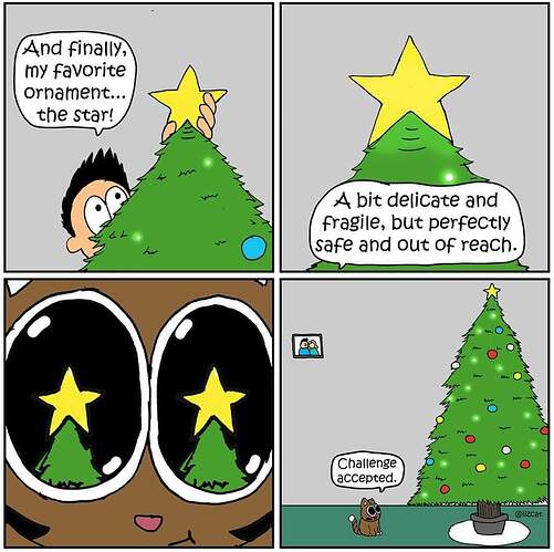 FB_IMG_1638484866811