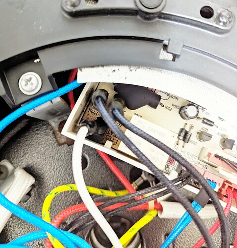 PXL_20240326_135430832-01