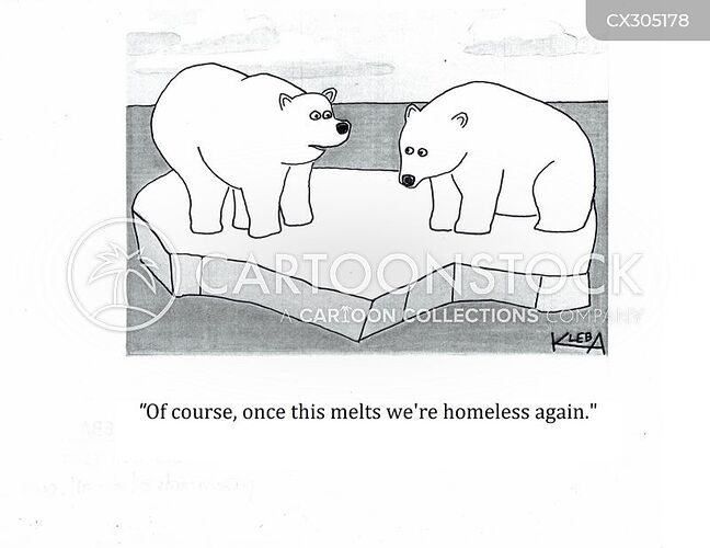 polar bear ice drift homeless