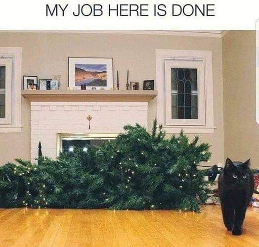 FB_IMG_1608952037422