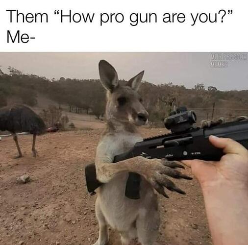 22-03-33-1605085055688